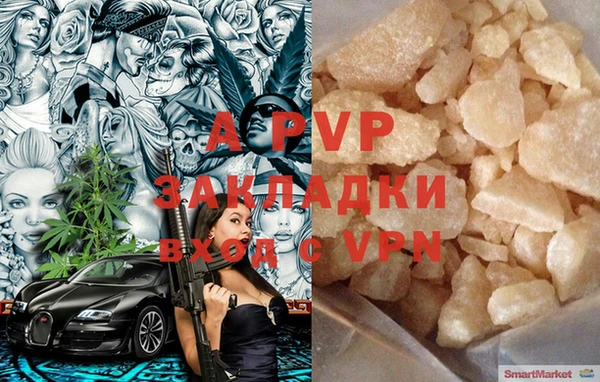 гидра Белокуриха