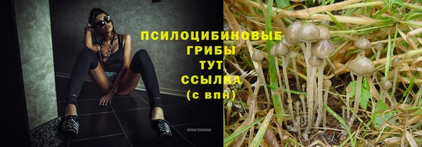 гидра Белокуриха
