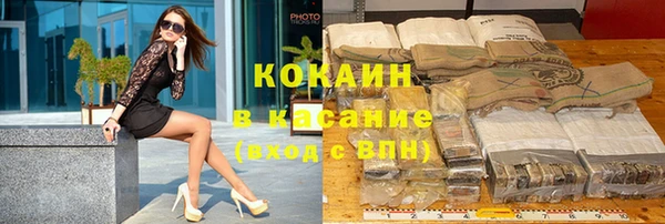 шишки Богородицк