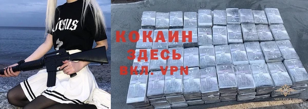 шишки Богородицк