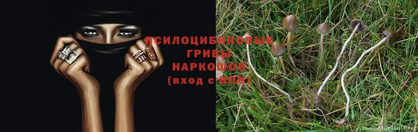 шишки Богородицк