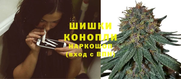 шишки Богородицк