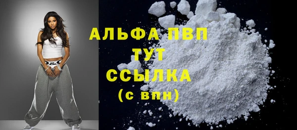 гидра Белокуриха